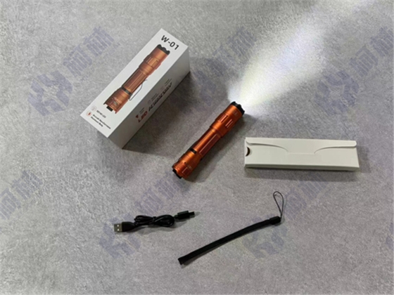 新款W-01电子防暴器.jpg