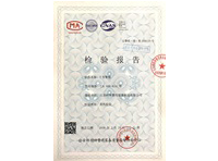 柯林-T型警棍检测报告